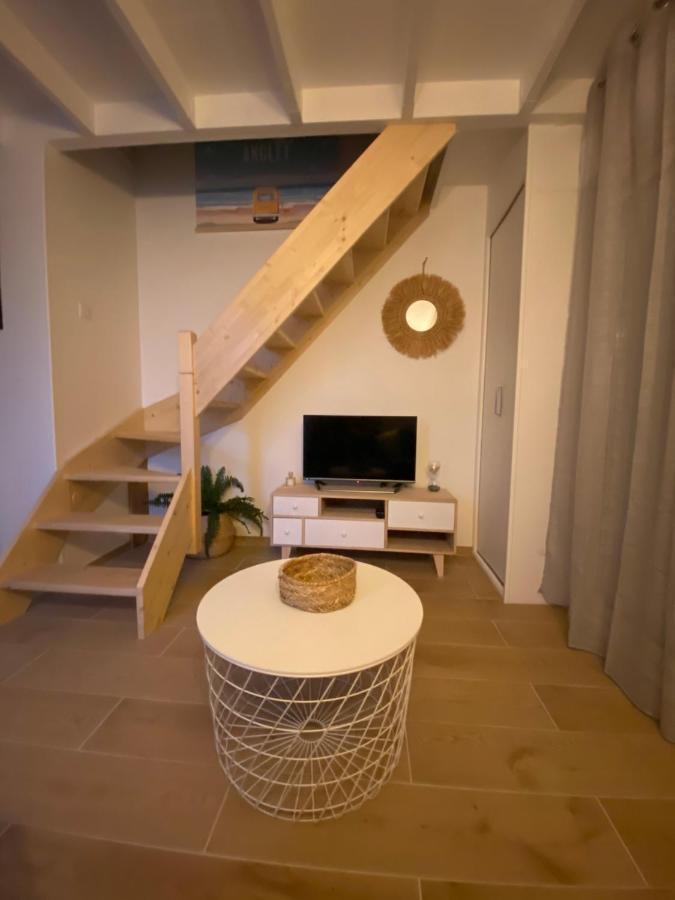 Superbe Appartement Climatise Entre Mer Et Montagne Anglet Ngoại thất bức ảnh
